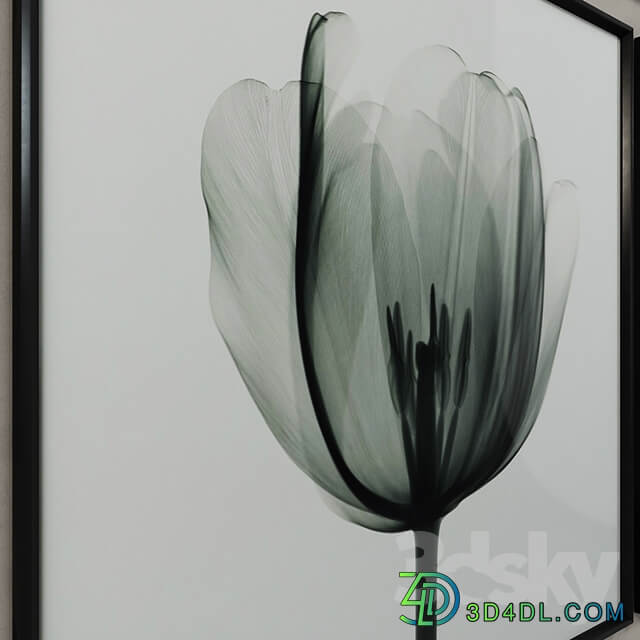 Restoration Hardware Nick Veasey x ray photography