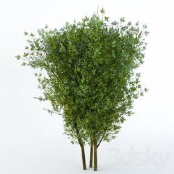3D Models 
