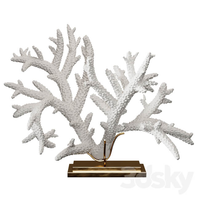 Coral Set 4