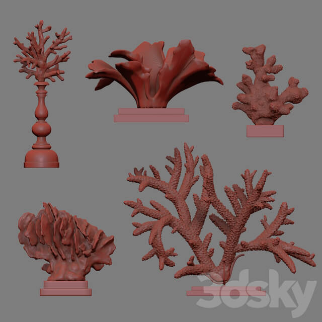 Coral Set 4