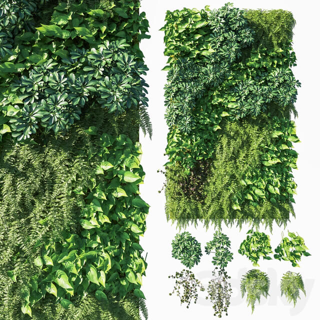 Fitowall Vertical garden Green wall 03