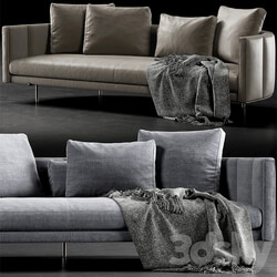 Minotti torii 
