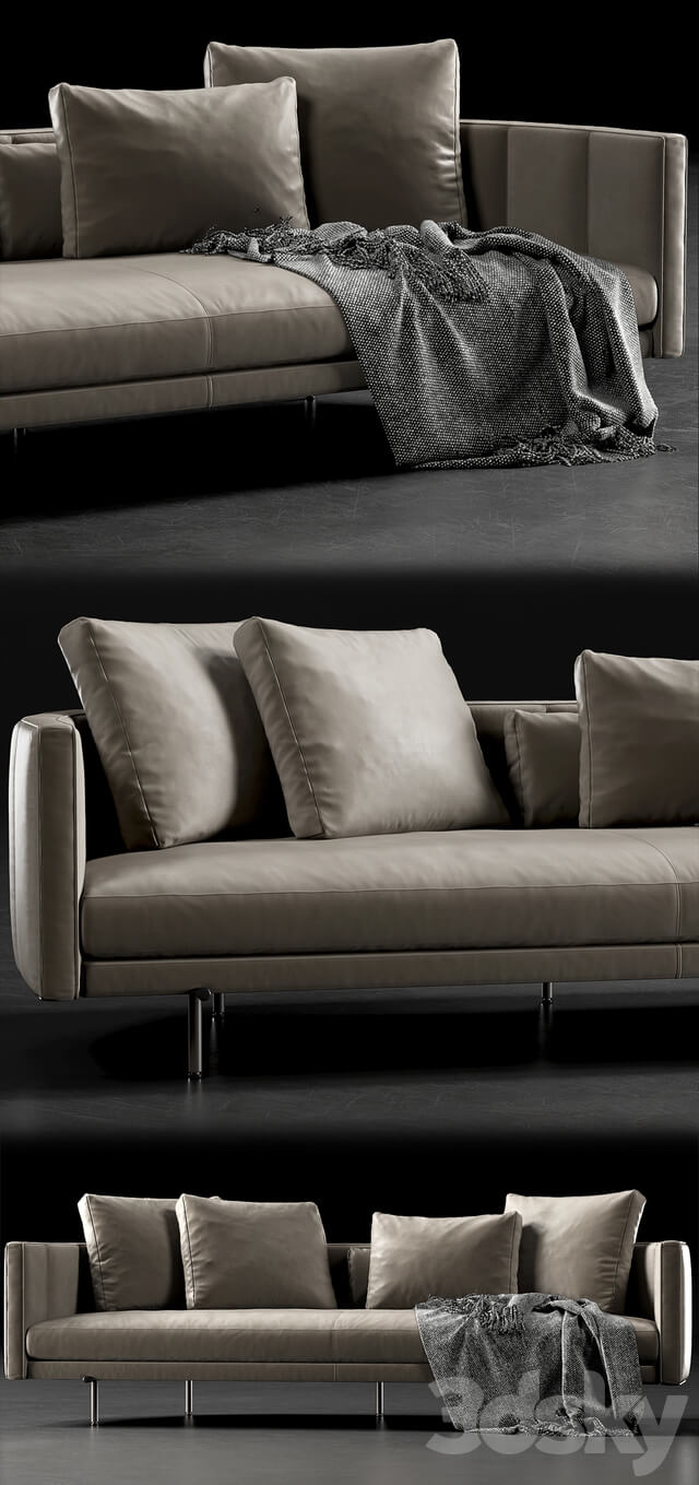 Minotti torii