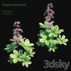 Rogers horse chestnut 2 