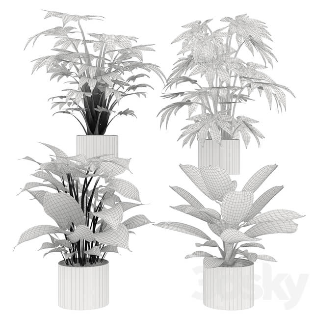 Collection plant vol 2