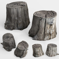 Other photoscan of two stumps 