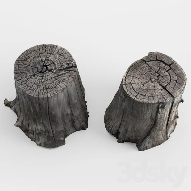 Other photoscan of two stumps