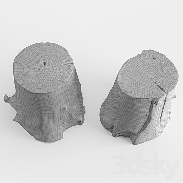 Other photoscan of two stumps