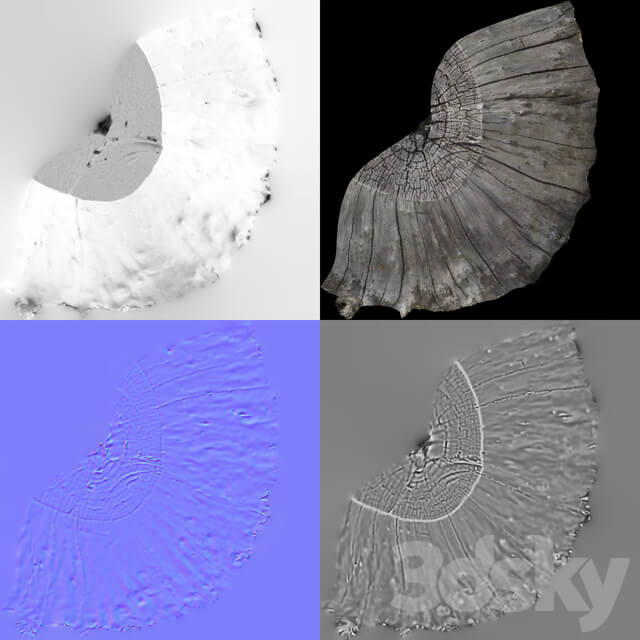 Other photoscan of two stumps