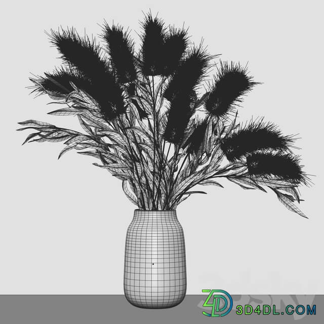Decor set lagurus 2