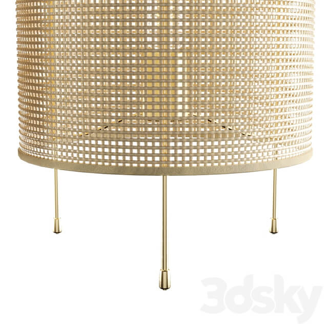 Zara Home Rattan Lamp