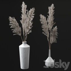 Pampas bouquets 
