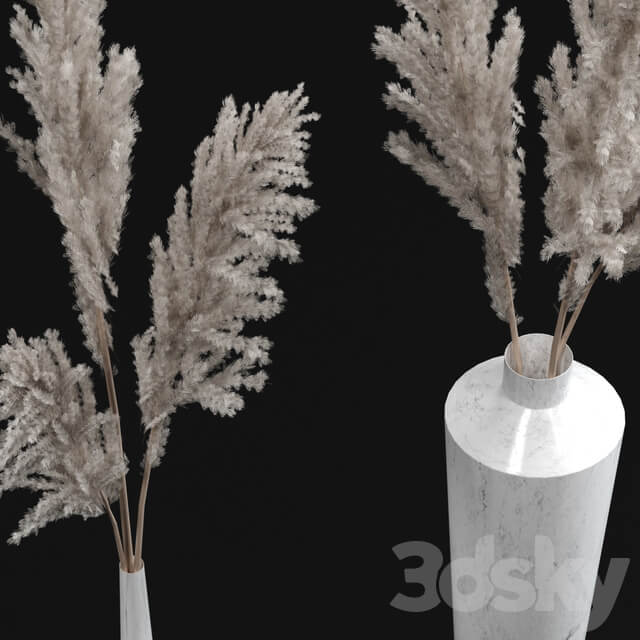 Pampas bouquets