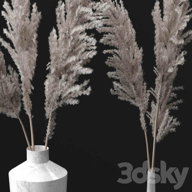 Pampas bouquets