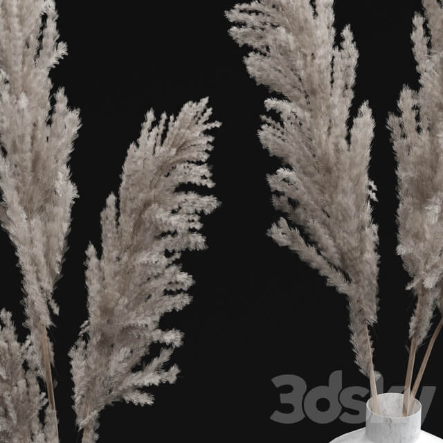 Pampas bouquets