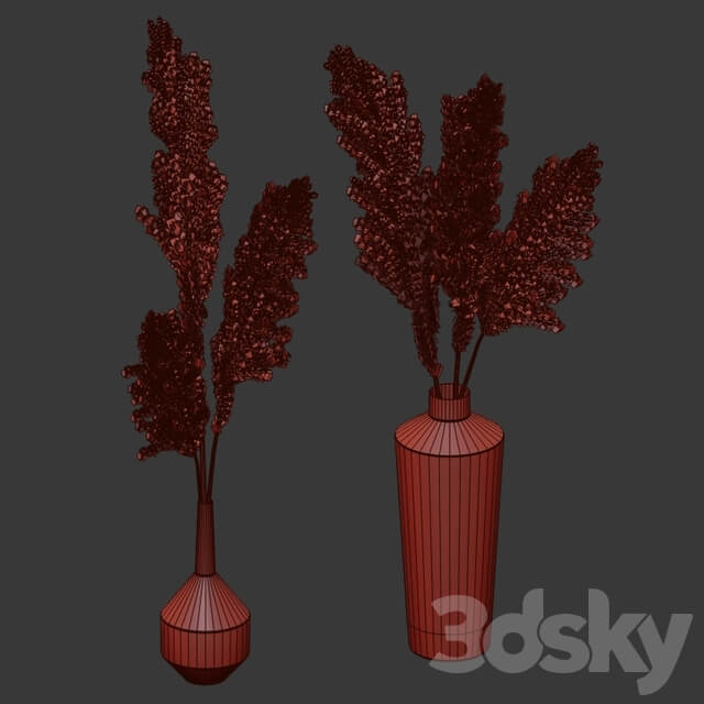 Pampas bouquets