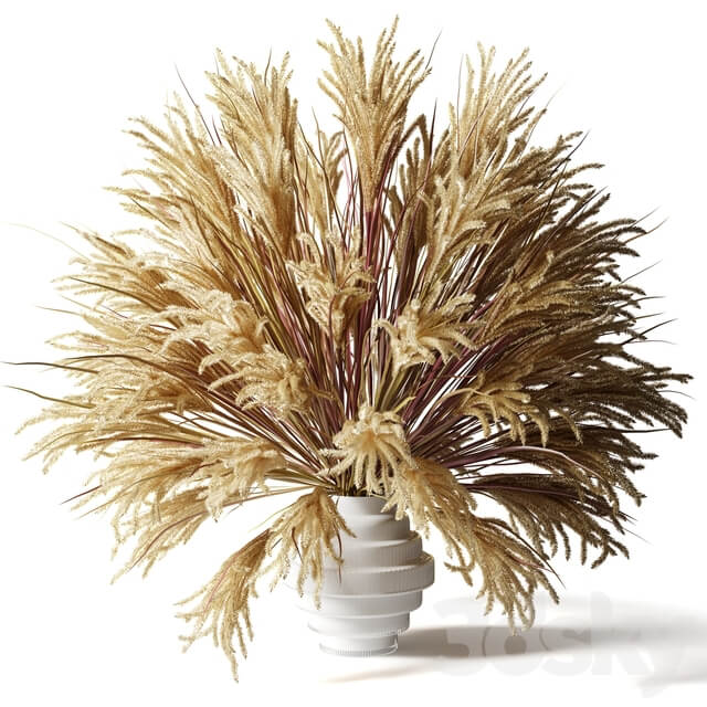Fluffy bouquet of dry grass with tails in a glass white vase