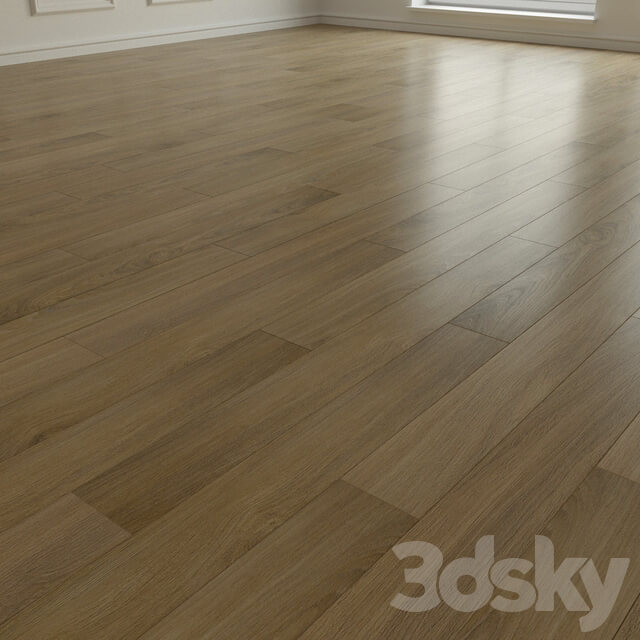 Wood Laminate. Parquet. 175