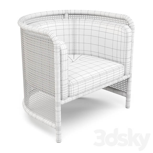 Crate and Barrel Fields ArmChair