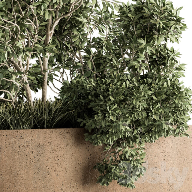 Outdoor Plants Olive Set 82