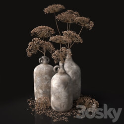 Jugs with dry dill stalks 