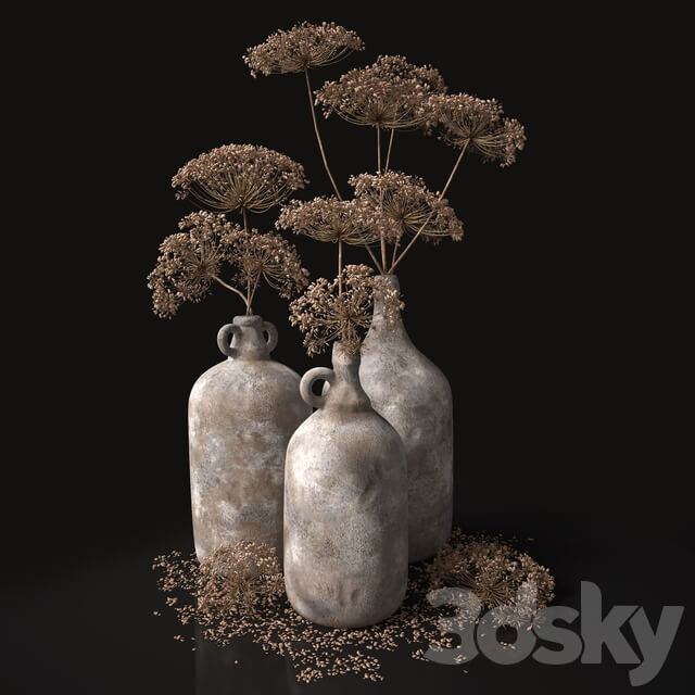 Jugs with dry dill stalks