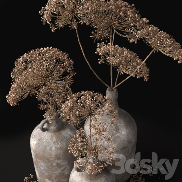 Jugs with dry dill stalks