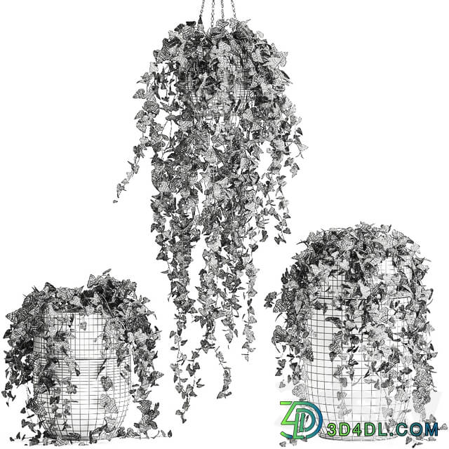 Plant collection 725. 3D Models
