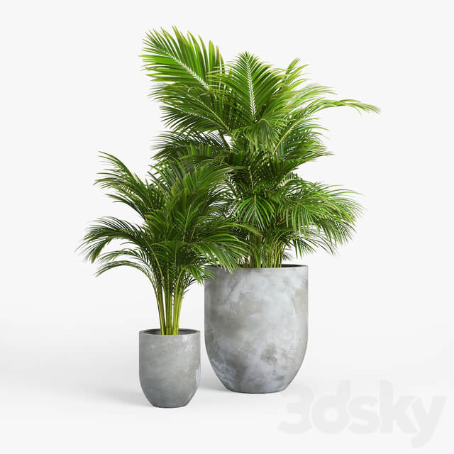 concrete set