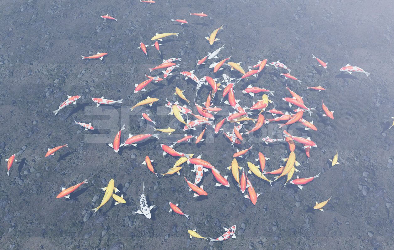 11294. 3D Model of Koi Aquarium For Download