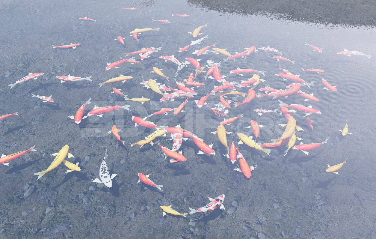 11294. 3D Model of Koi Aquarium For Download