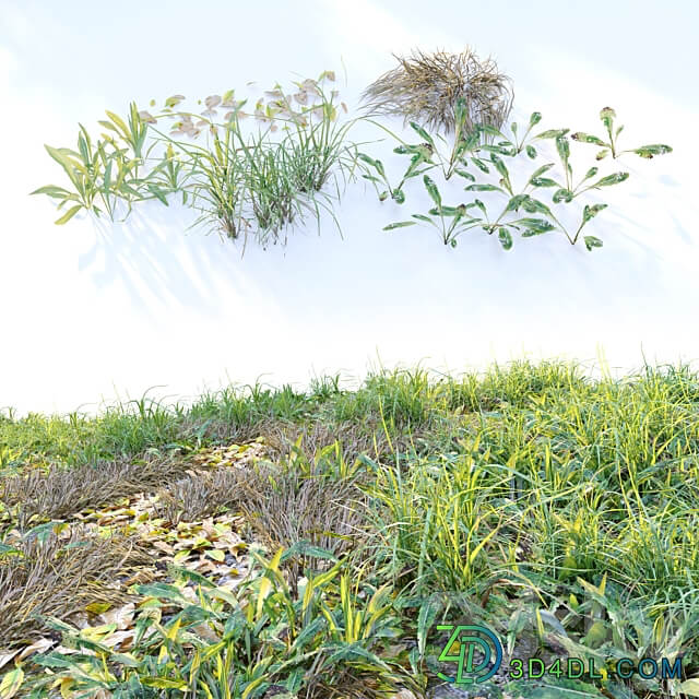 Meadow 2