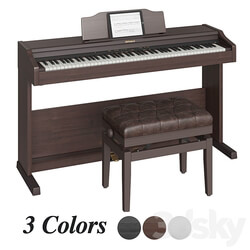 Roland RP 501 R 