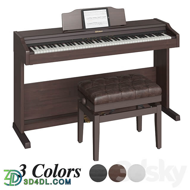 Roland RP 501 R