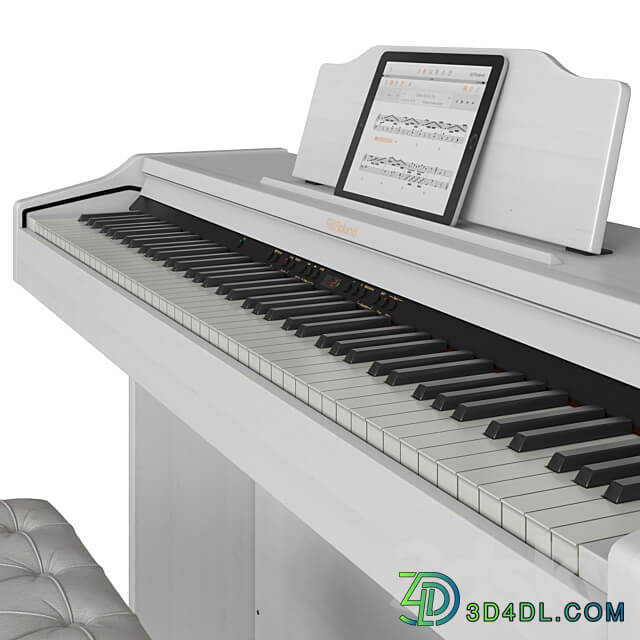 Roland RP 501 R