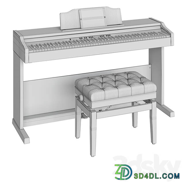 Roland RP 501 R