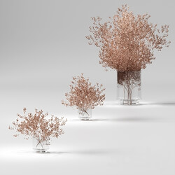 Dry plants set. 3 models 