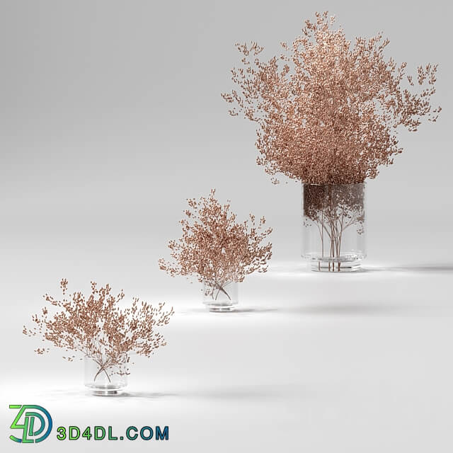 Dry plants set. 3 models