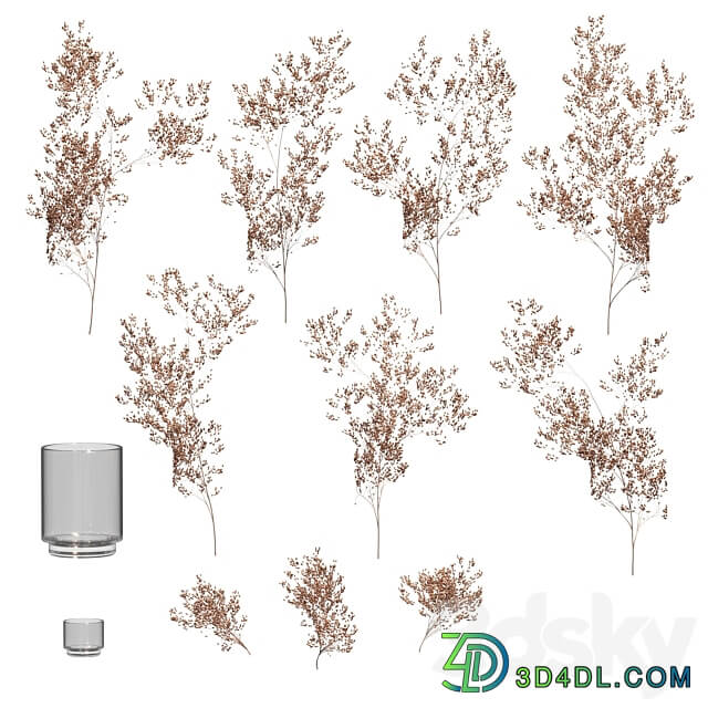 Dry plants set. 3 models