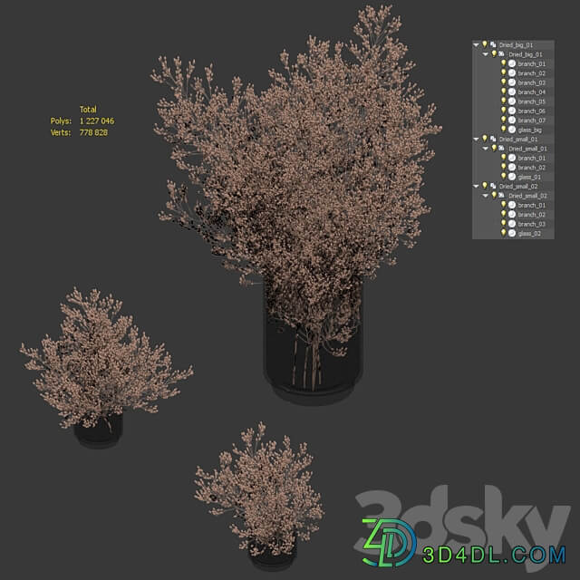 Dry plants set. 3 models