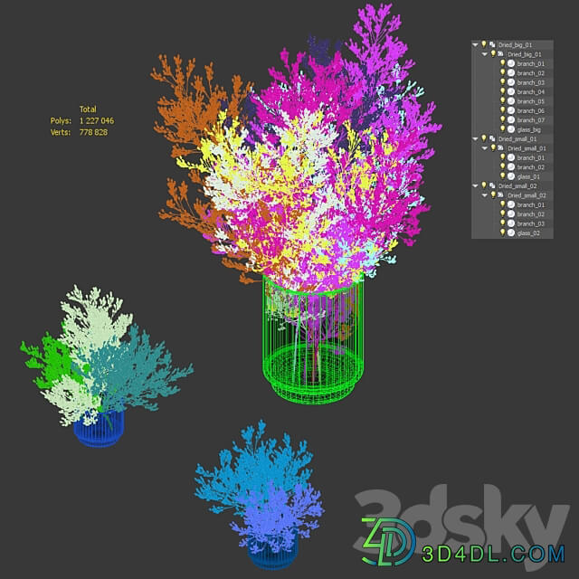 Dry plants set. 3 models