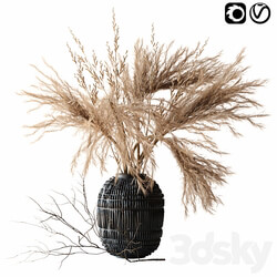 Brown pampas 