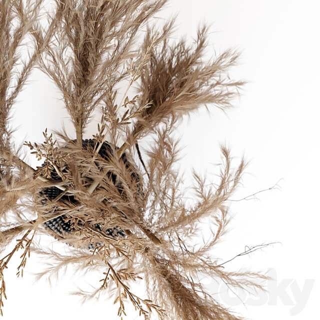 Brown pampas