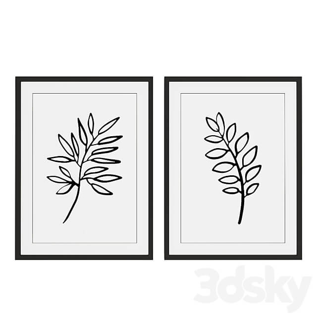 Set of pictures with plants.