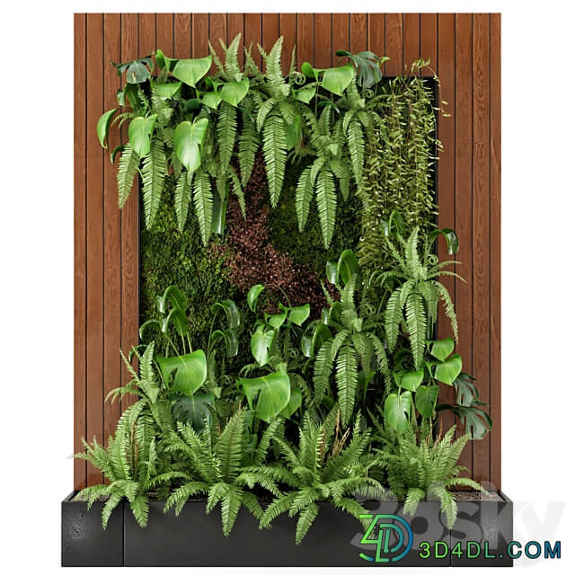 Indoor Indoor Wall Plants in rusty Concrete Pot Set 22