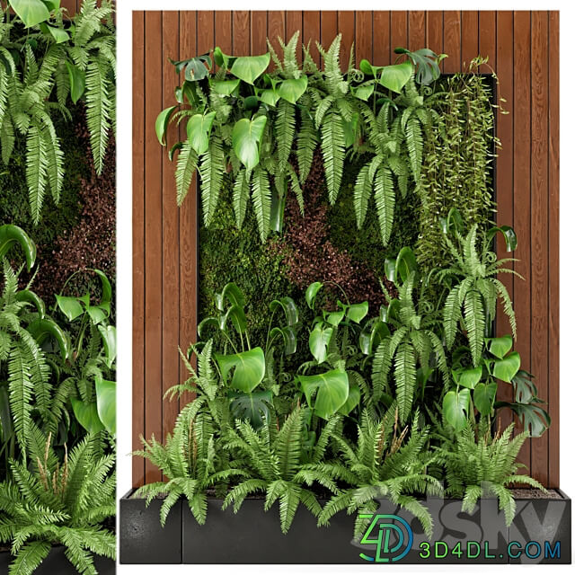 Indoor Indoor Wall Plants in rusty Concrete Pot Set 22