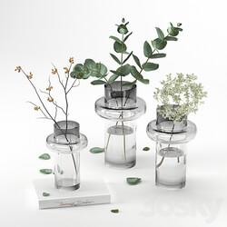Decorative set 16 