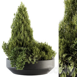 Outdoor Plants Garden Set 142 