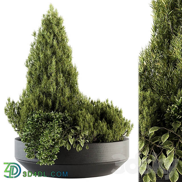 Outdoor Plants Garden Set 142