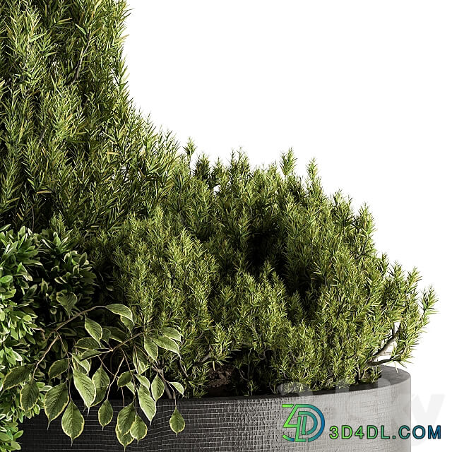 Outdoor Plants Garden Set 142